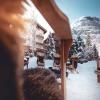 hotel_images