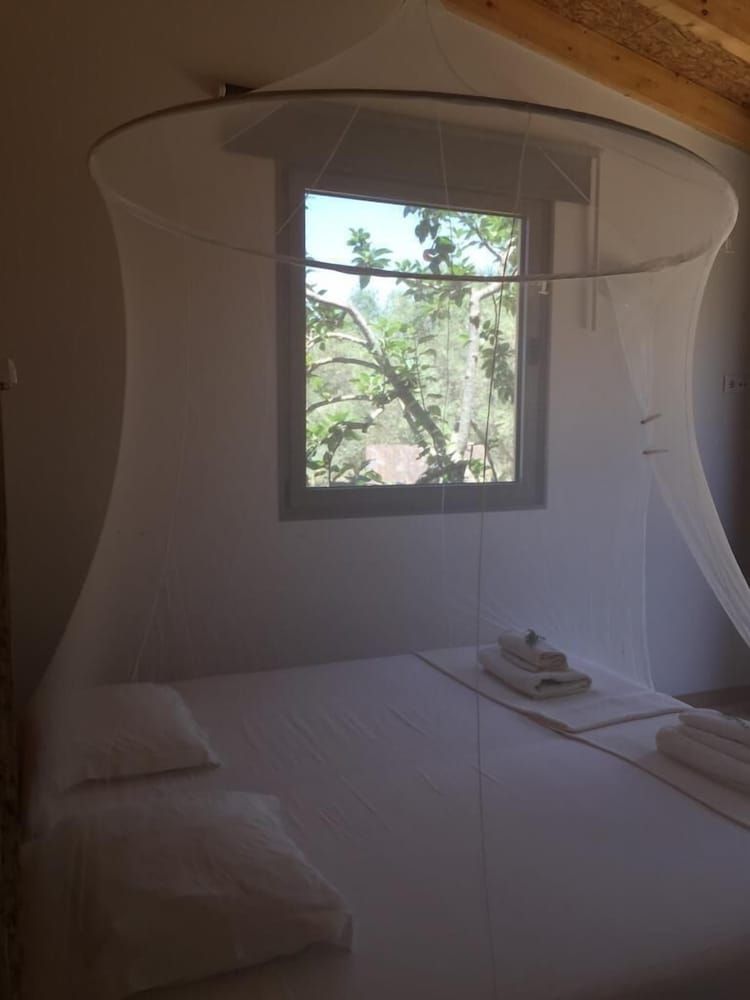 Standard Double or Twin Room, Courtyard View (Green Room)