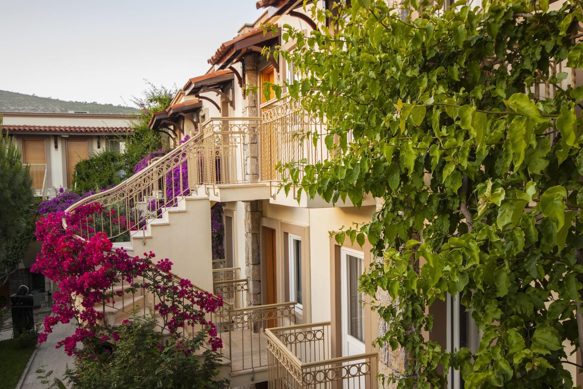 undefined Moonshine Hotel & Suites 2