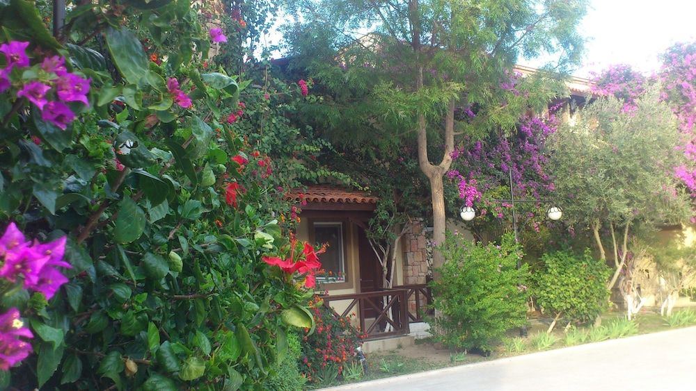 undefined Moonshine Hotel & Suites 6