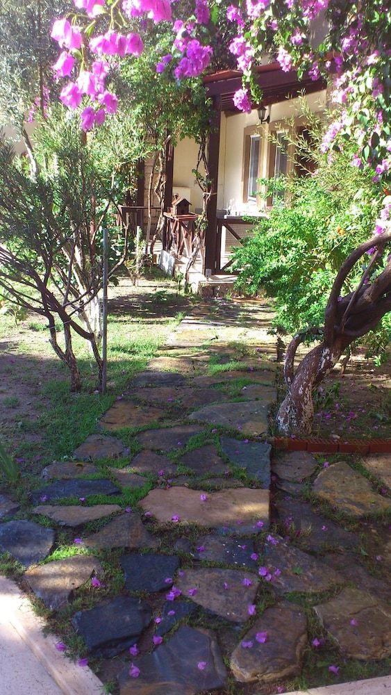 undefined Moonshine Hotel & Suites 8