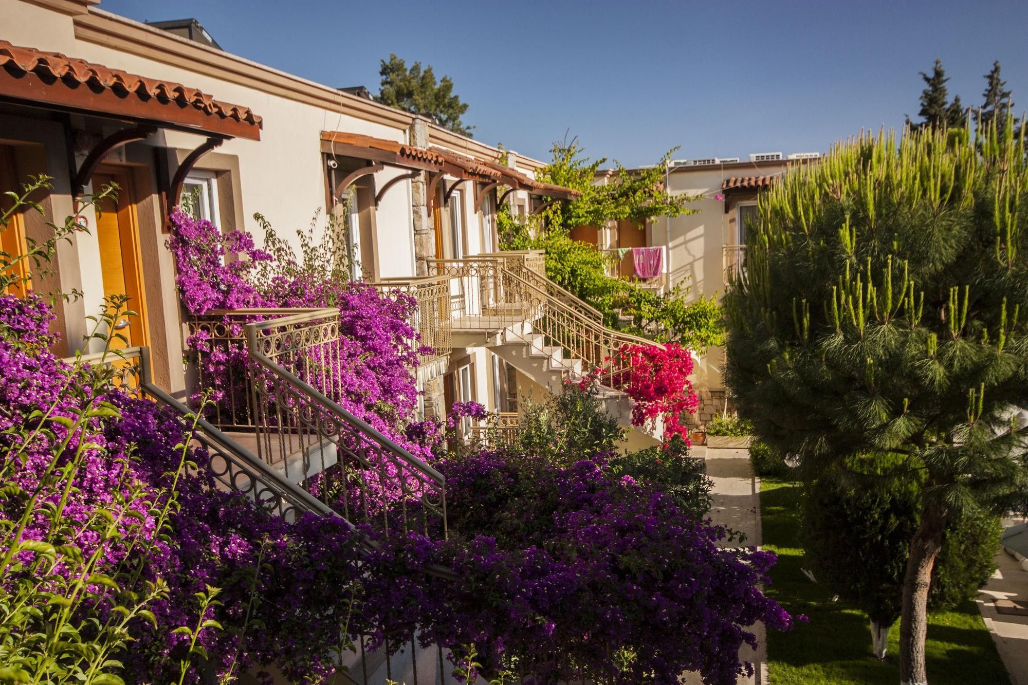 undefined Moonshine Hotel & Suites 3