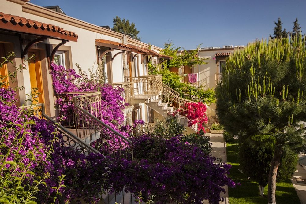 undefined Moonshine Hotel & Suites 5