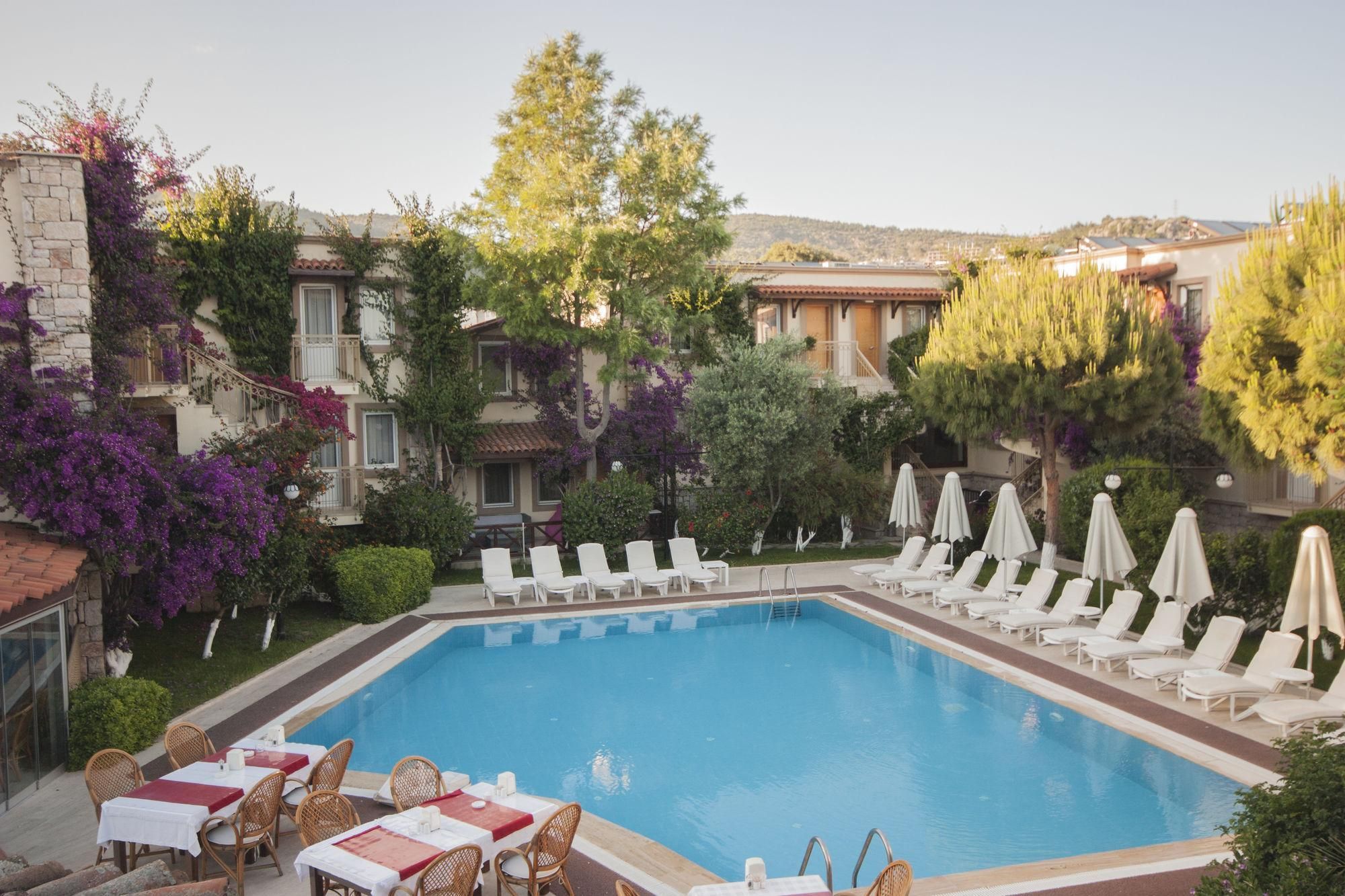 undefined Moonshine Hotel & Suites 8