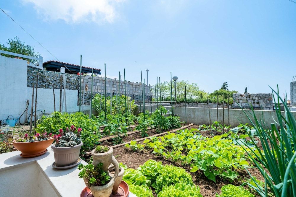 Apartments Nico Apartment (One Bedroom Apartment 1) 10