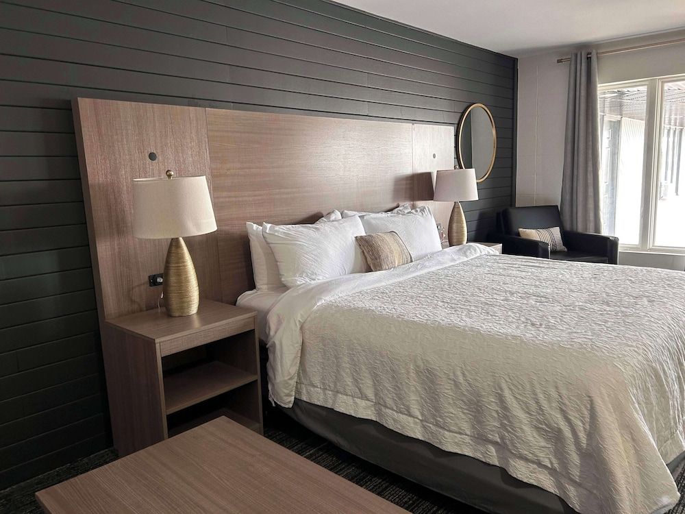 Standard Room, 1 King Bed, Non Smoking, Kitchenette (with Single Sofabed)