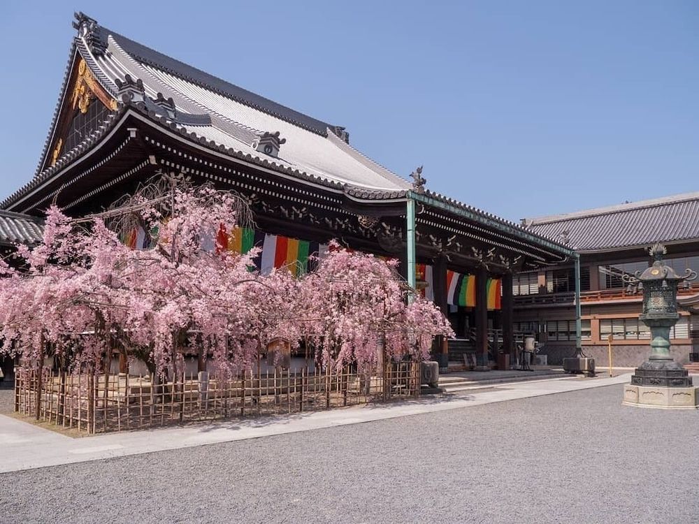 undefined Hotel Crush On 5