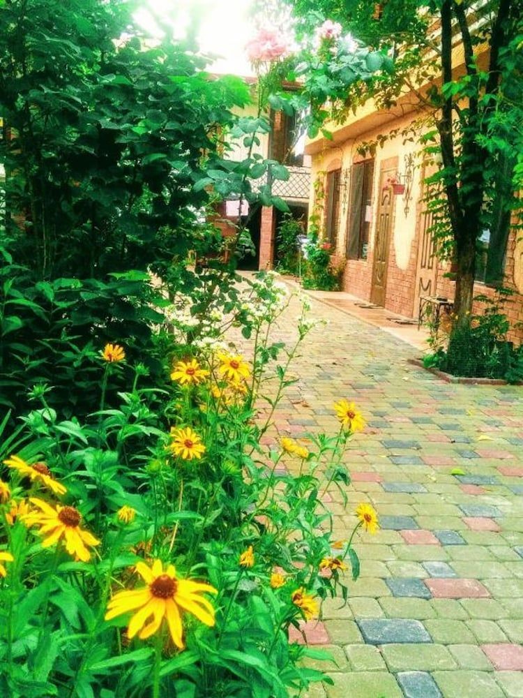 undefined Batumi Wonderland Guest House 6