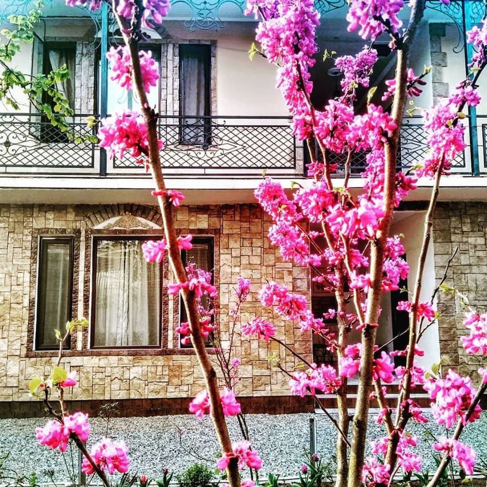 undefined Batumi Wonderland Guest House 3