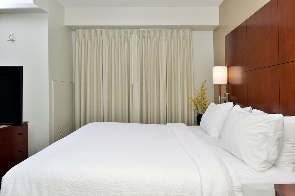 Studio, 1 King Bed with Sofa bed