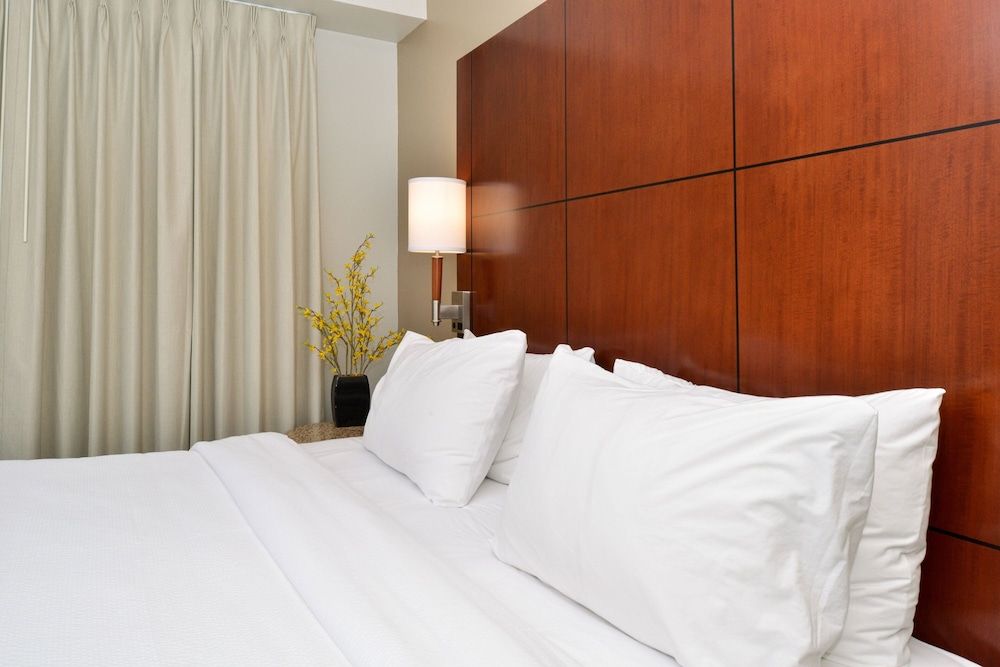 Studio, 1 King Bed with Sofa bed