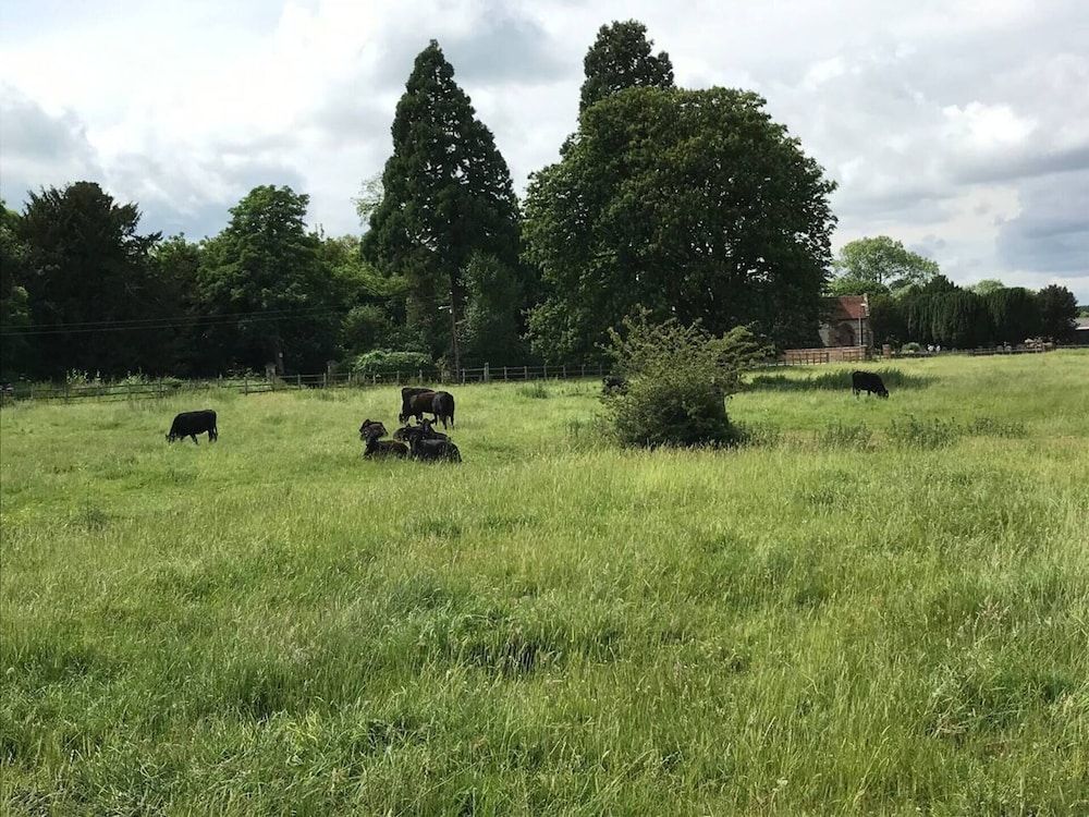Village Period Cottage Next to a Idyllic Stream Cottage 27