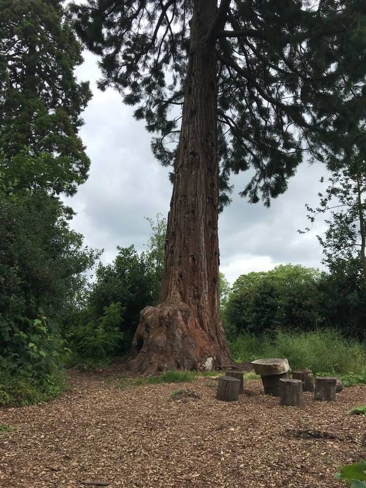 Village Period Cottage Next to a Idyllic Stream Cottage 28
