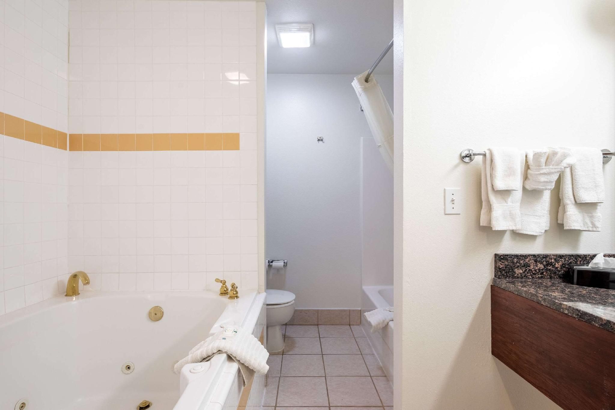 1 King Bed, 2 Queen Beds, Efficiency, Suite, Nonsmoking, Upgrade