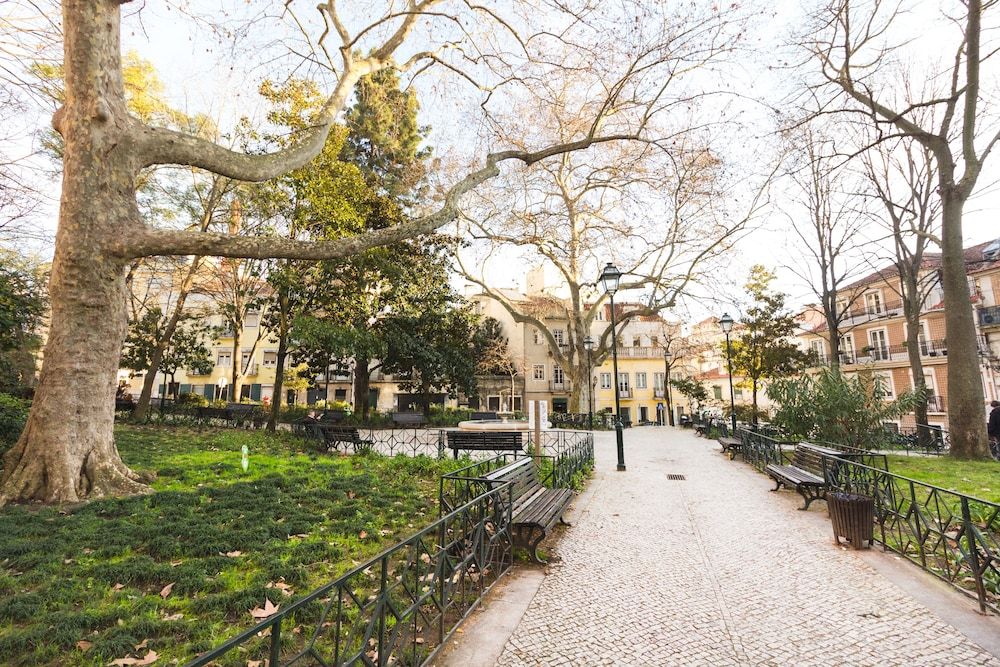 undefined Príncipe Real Sunny Apartment 4