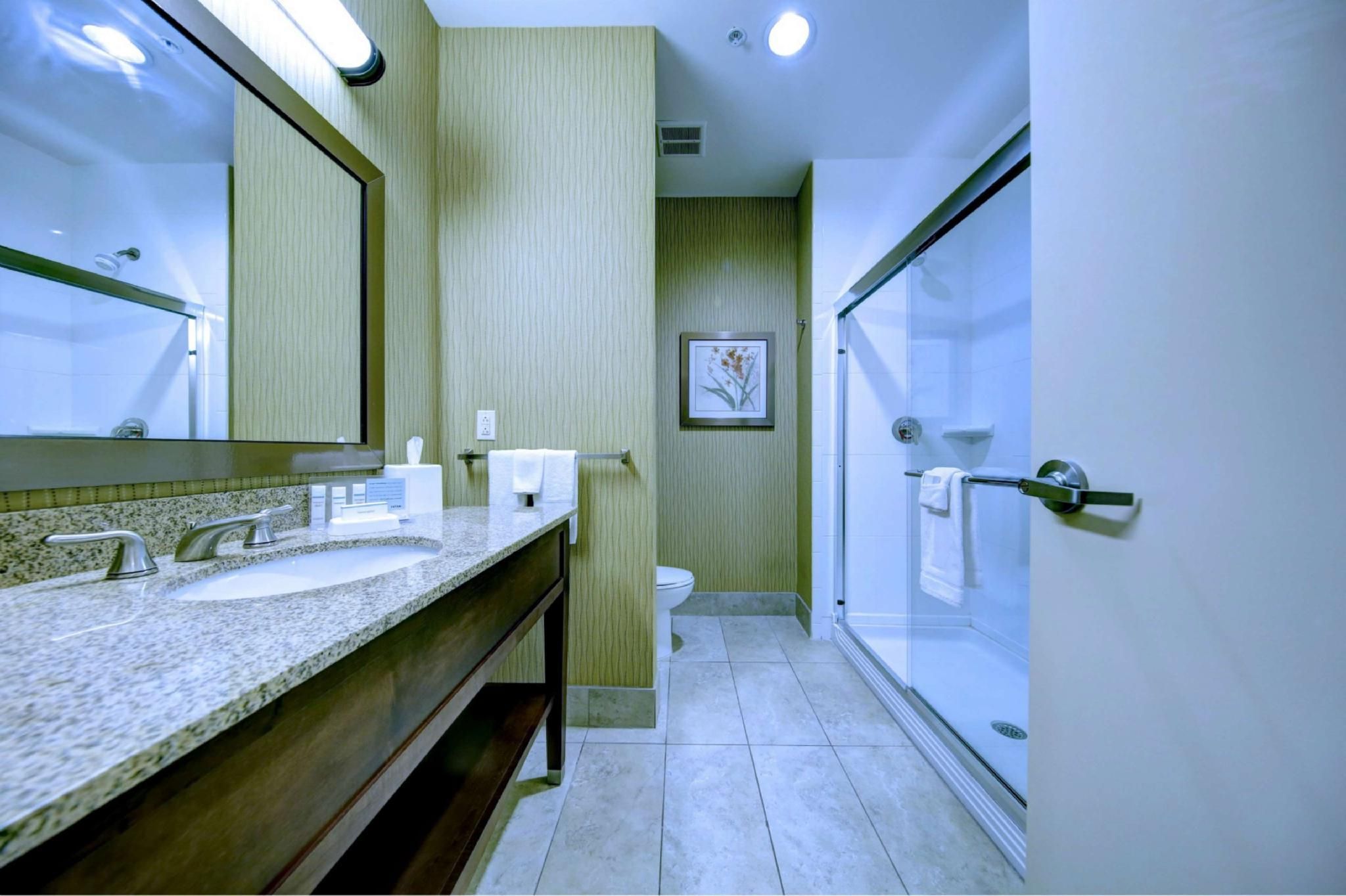 1 King Studio Suite Nonsmoking