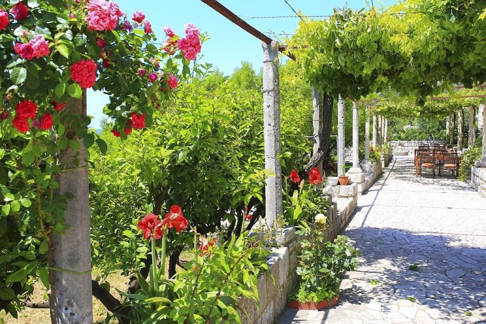 undefined Apartment & Rooms Savonari 6