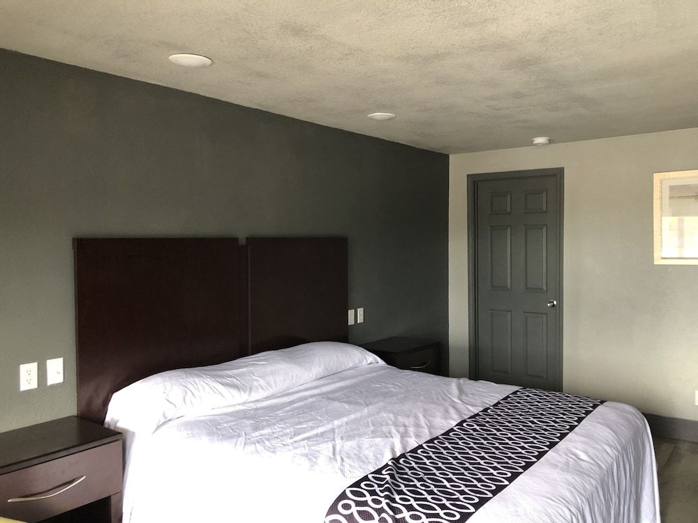 Room, 1 King Bed
