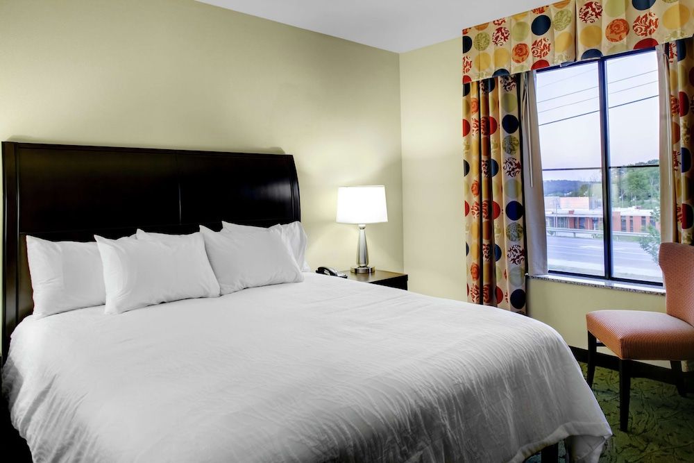 Room, 1 King Bed