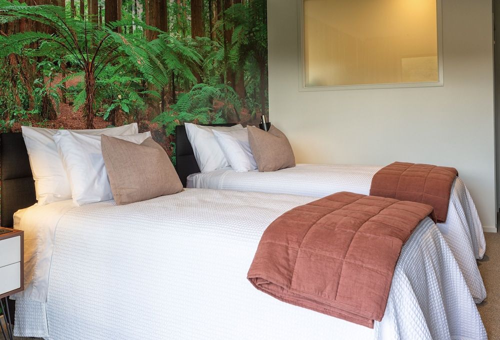 Parkside Boutique Lodge Redwood Suite 4