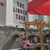 The Linden Tree