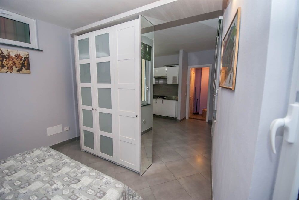 Le Coste Basic Studio 7