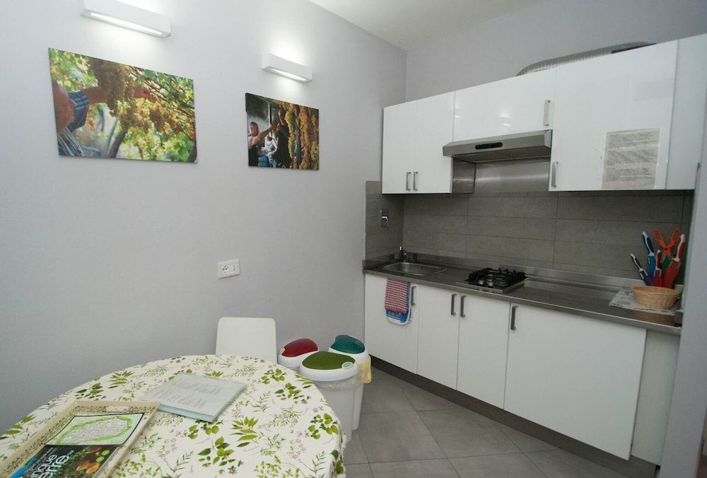 Le Coste Basic Studio 3