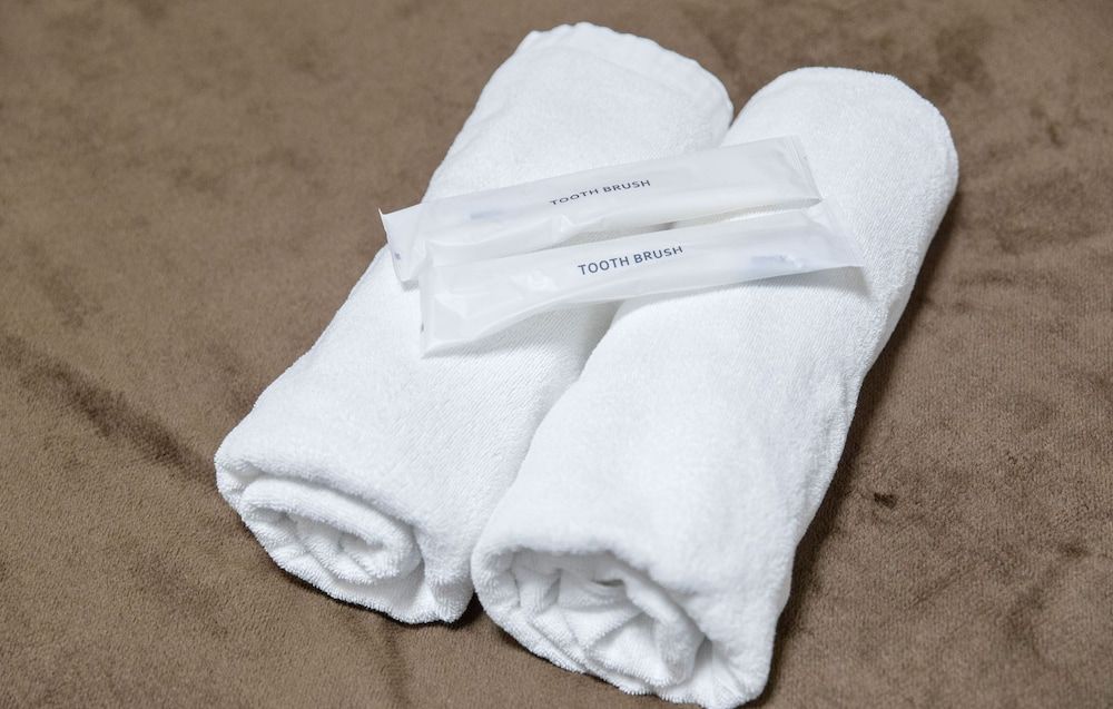 Naniwa Tsutenkaku Hotel Standard Room 5