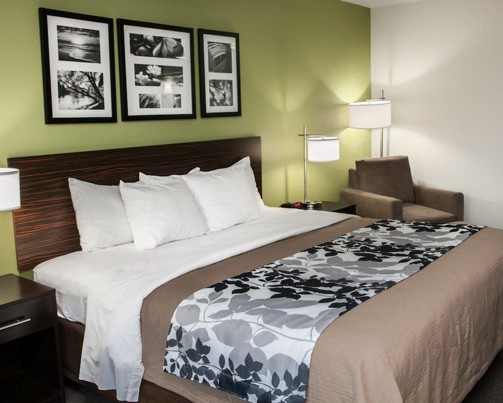 Room, 1 King Bed, Accessible, Non Smoking