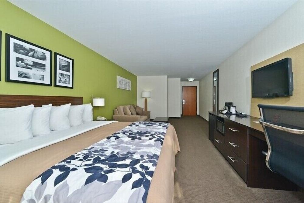 Standard Room, 1 King Bed, Non Smoking