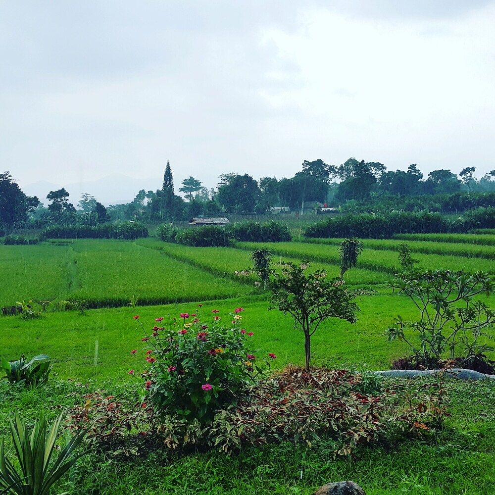 Degung Hillside Family Room 14