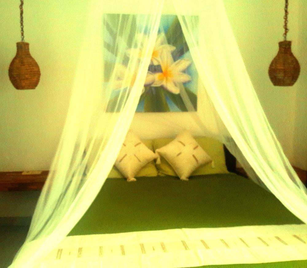 undefined Cape Rose 7