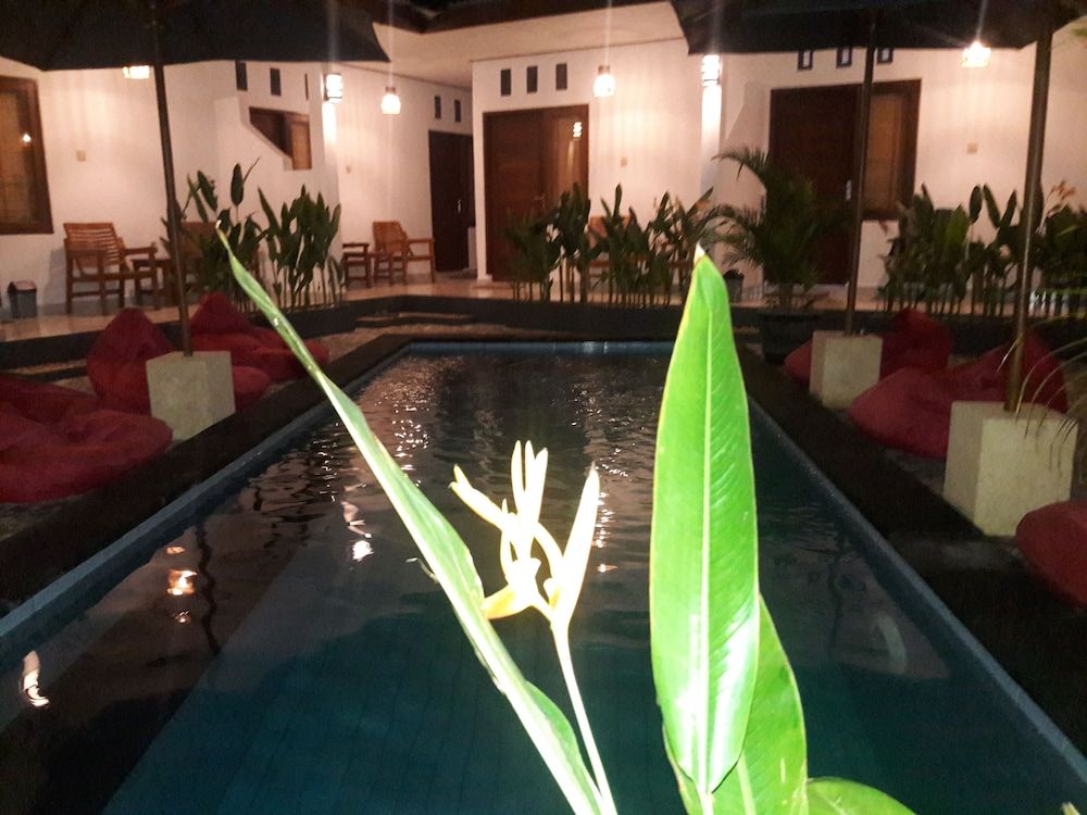 undefined Cape Rose 4