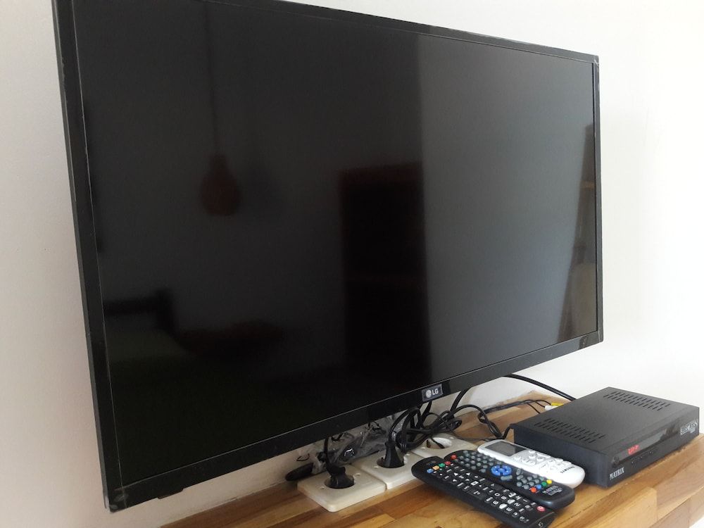 undefined Cape Rose 8