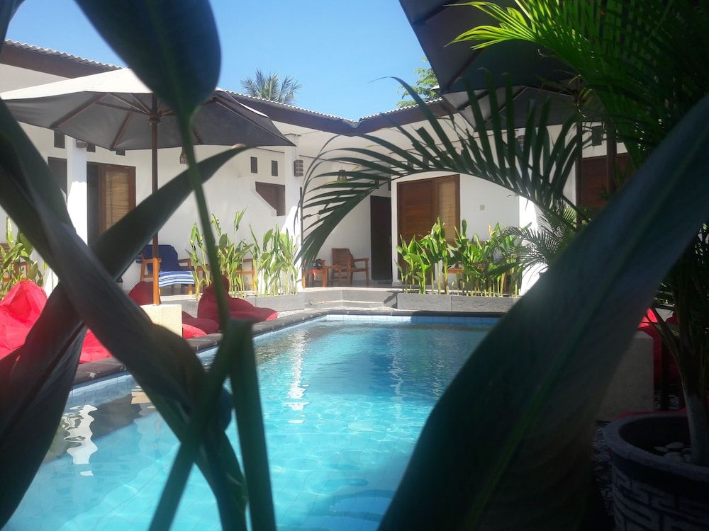 undefined Cape Rose 3