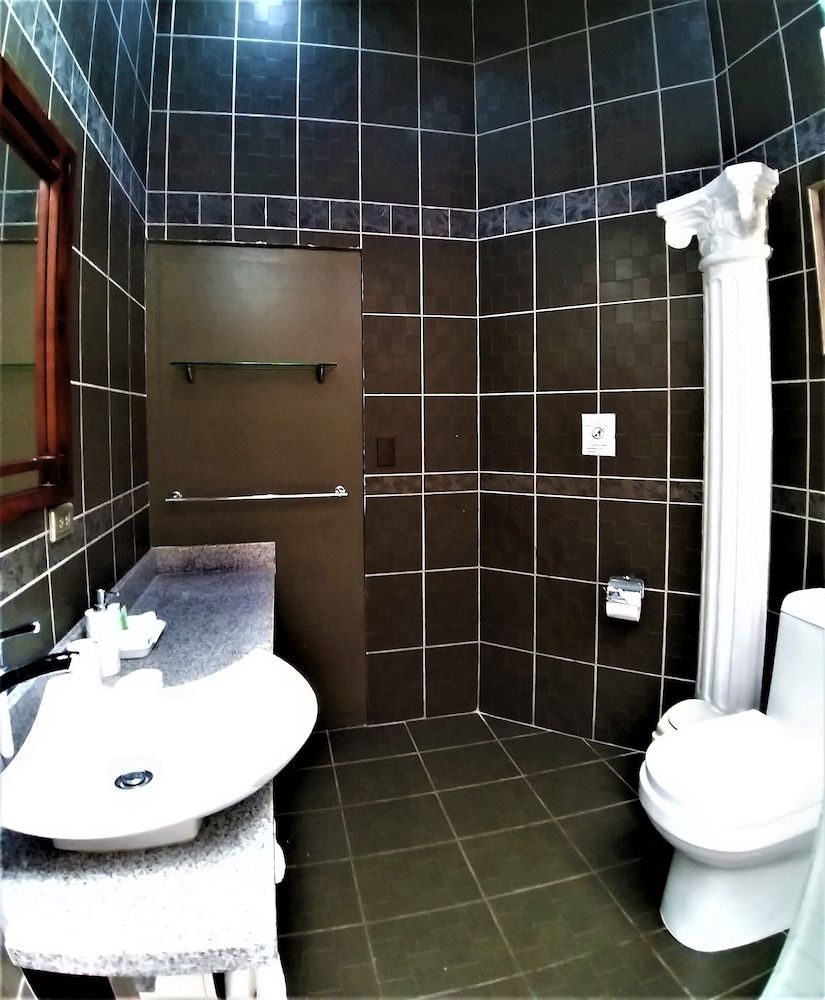 Alameda Cariari Deluxe Double Room 3