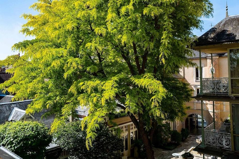 Grand Hotel du Lion d'Or Deluxe Suite, Courtyard View 6