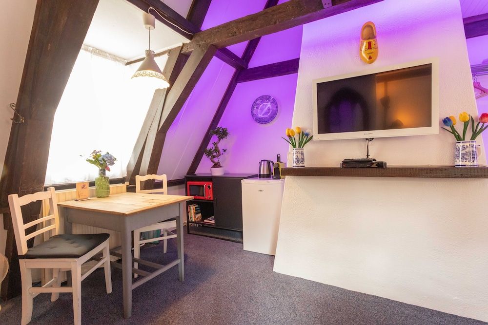 undefined Tulip of Amsterdam 4