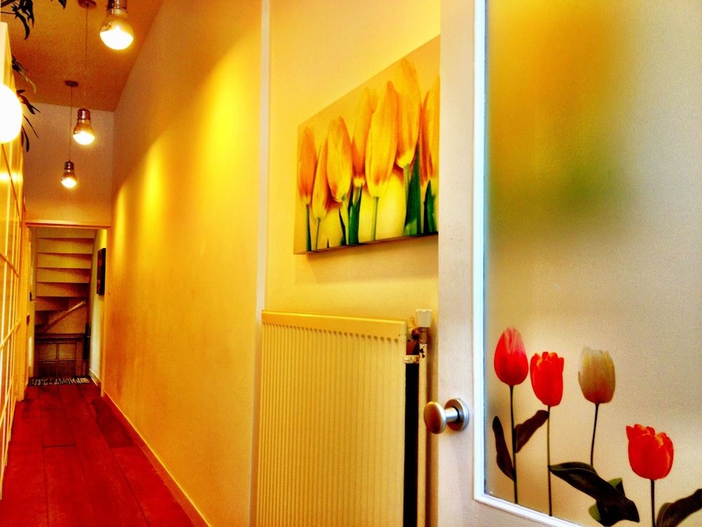 undefined Tulip of Amsterdam 3