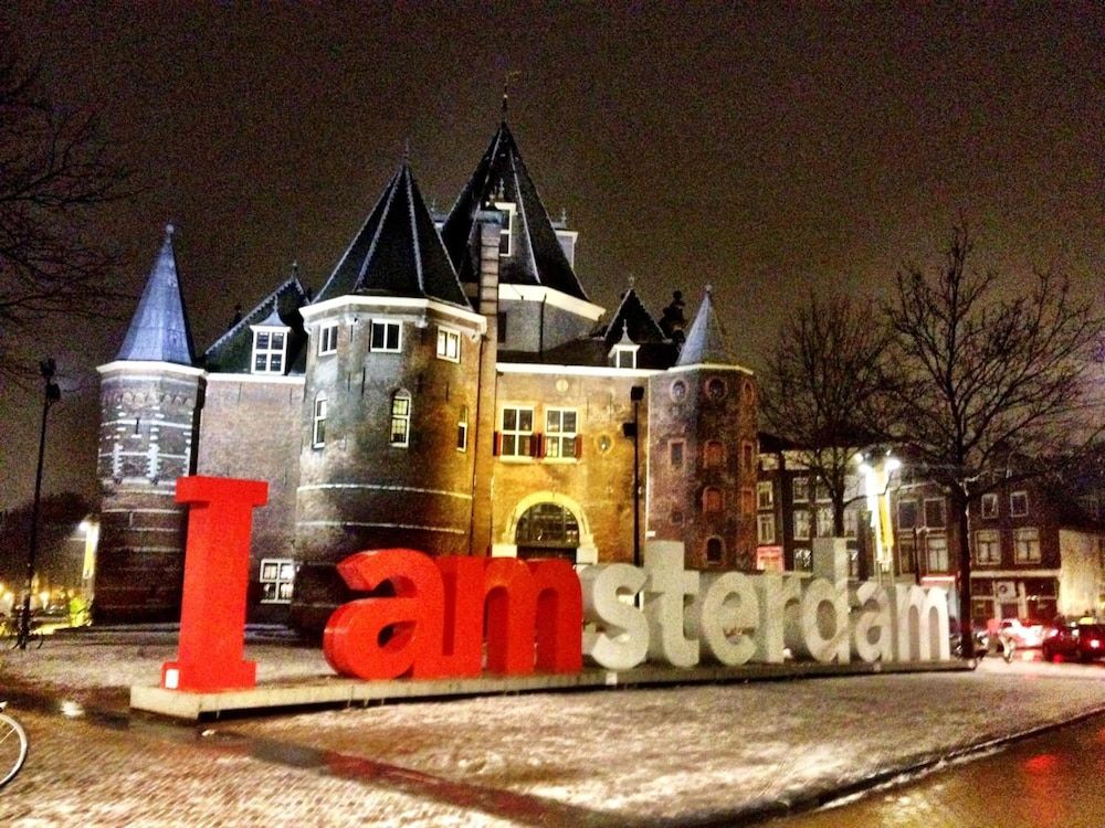 undefined Tulip of Amsterdam 9