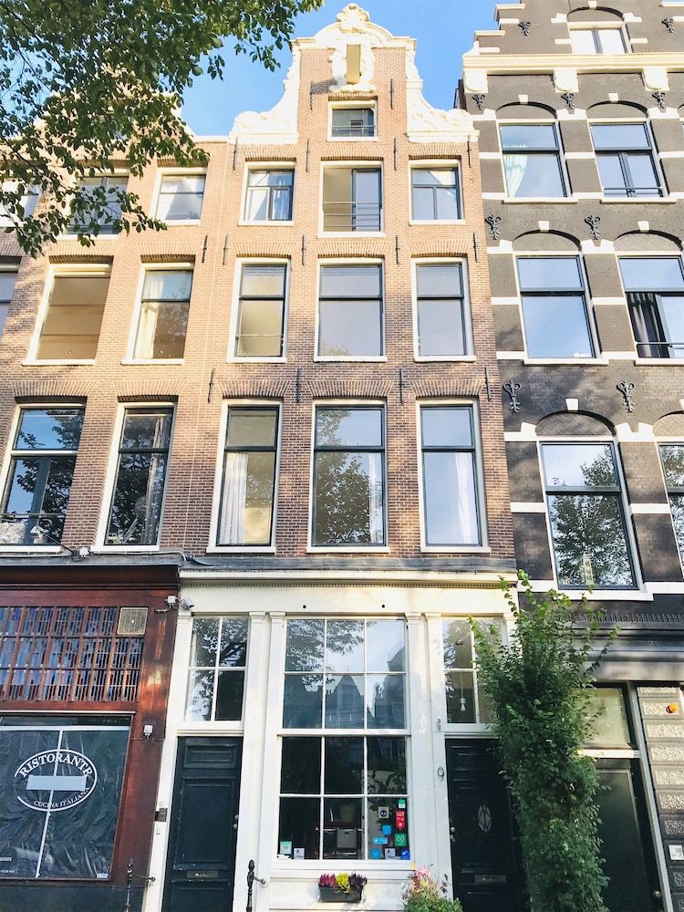 undefined Tulip of Amsterdam 2