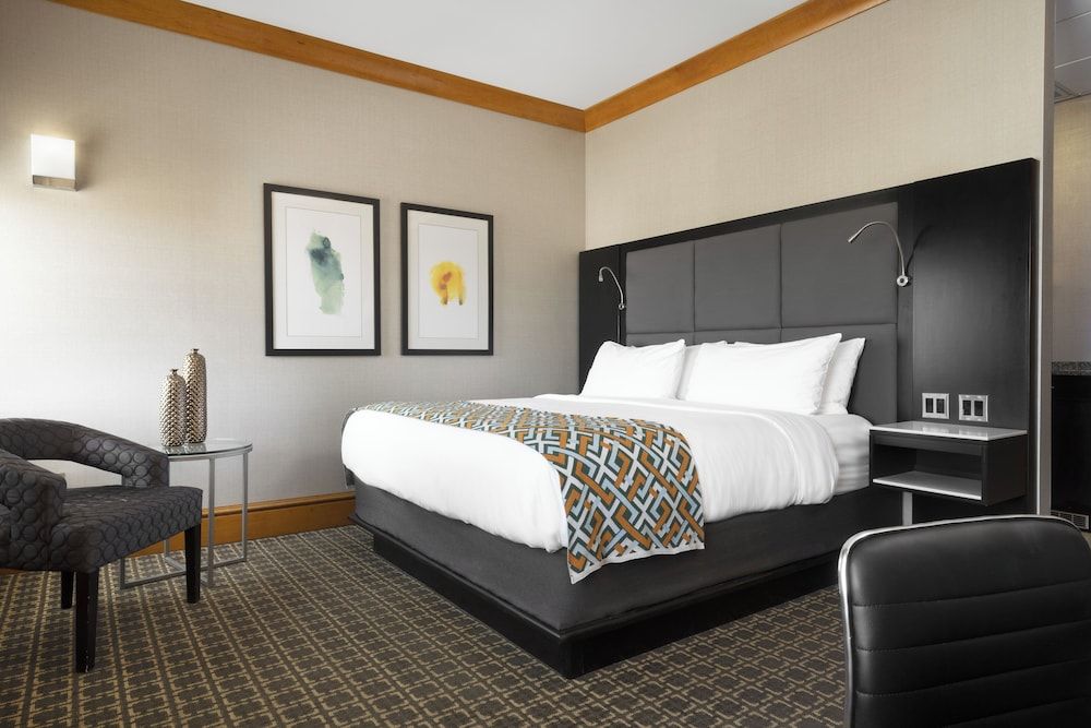 Suite, 1 King Bed