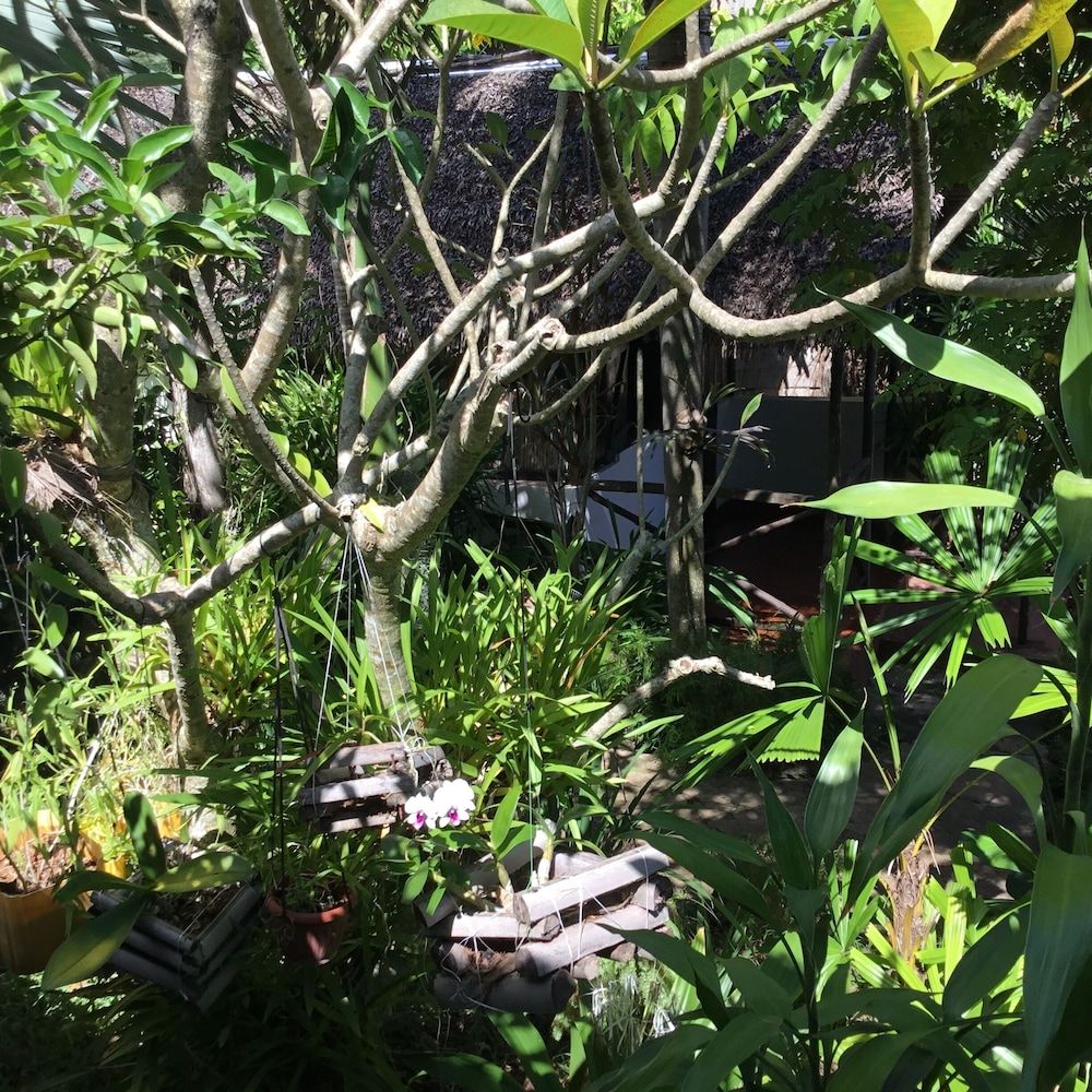 Coucher De Soleil Basic Room, Sea View 18