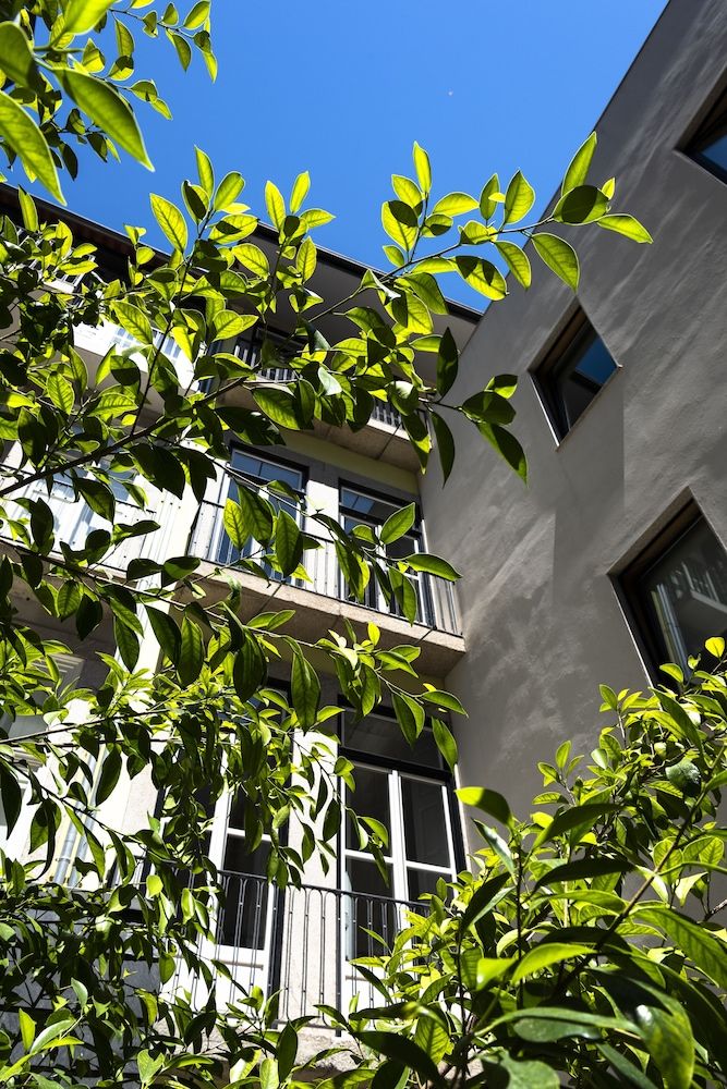 undefined NorteSoul Mouzinho 8