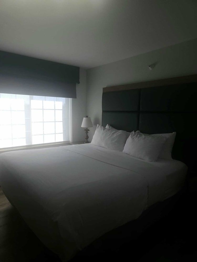 Single Room, 1 King Bed, Non Smoking