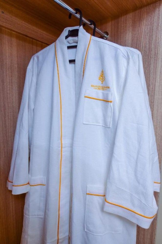 Deuts Four Seasons Hotel Standard Room 10