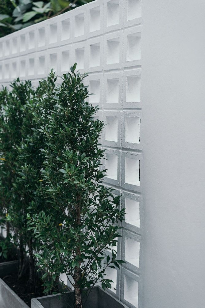 undefined The Mellow Pillow at Chiang Mai Gate 6