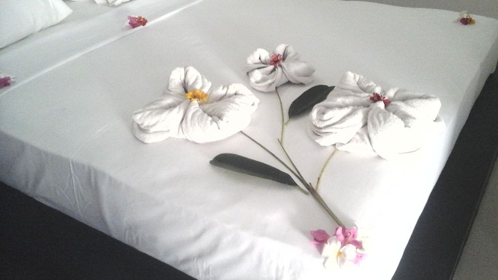 Tom and Jerry Villa Lombok