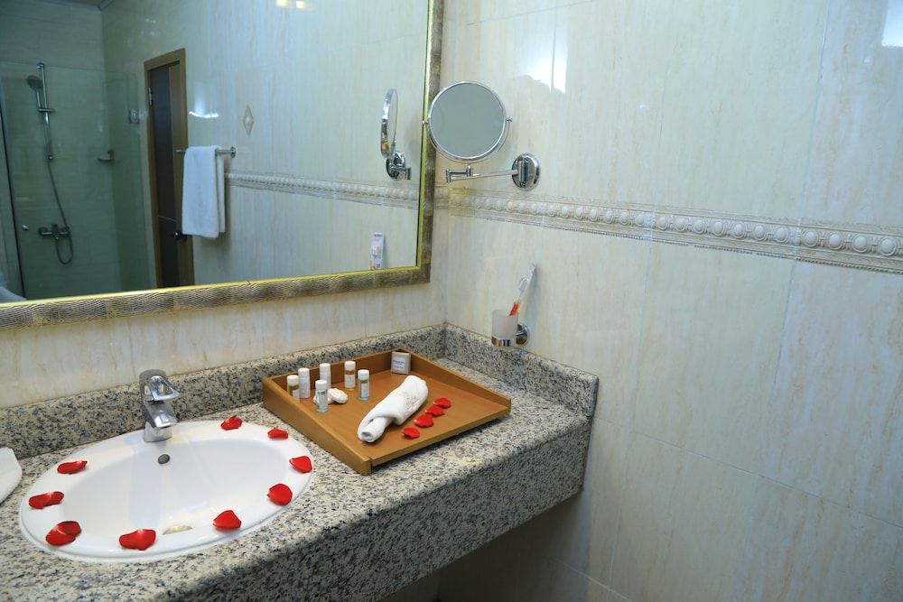 Bonanza Addis Hotel Deluxe Room 5