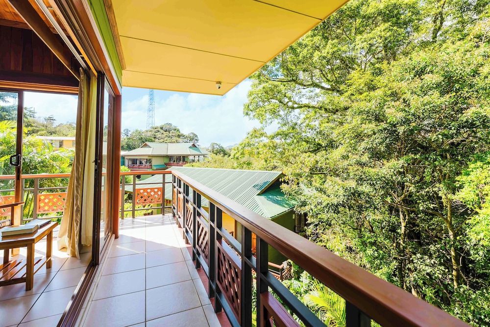 Ficus Sunset Suites Mountain View Queen 4